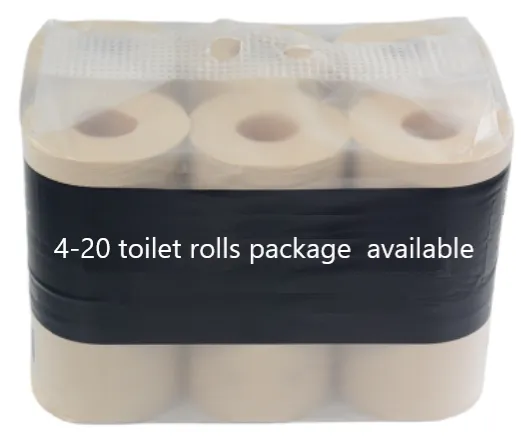 เปลี่ยนแปลงการผลิตของคุณด้วยสายการผลิตกระดาษชําระที่ทันสมัยของเรา 2